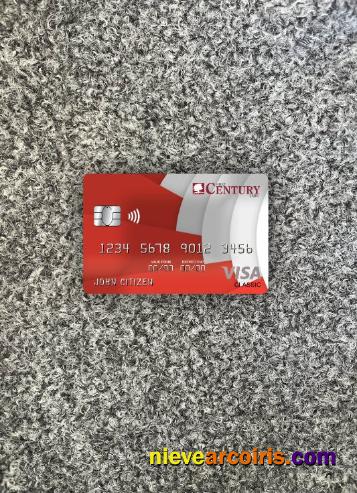 USA Georgia Gainesville First Century bank visa classic card photolook